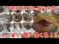 大量のゴキブリvs腹ぺこトカゲ