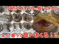 大量のゴキブリvs腹ぺこトカゲ