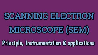 Scanning Electron Microscope (SEM) | Principle, Instrumentation, Working & Applications