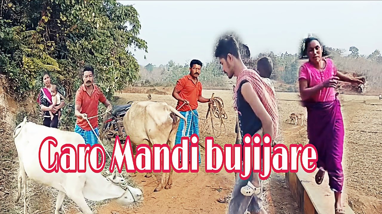 Garo Mandi bujijare //new Garo comedy film//jaiyounatv 