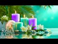 Relaxing Stress Relief Sleep Music 😴 Deep Insomnia Cure Sounds for Fast and Peaceful Sleeping