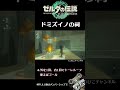 【TotK祠】ドミズイノの祠攻略 #Short|ゼルダの伝説 ティアーズ オブ ザ キングダム