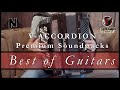 V accordion  premium soundpack  best of guitars
