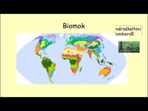 Videó: Mi alkotja a bioszféra biotikus összetevőjét?