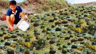 Wow the best 3 top VDO!! Amazing fisherman picking skill lots of snails and crabs at special place