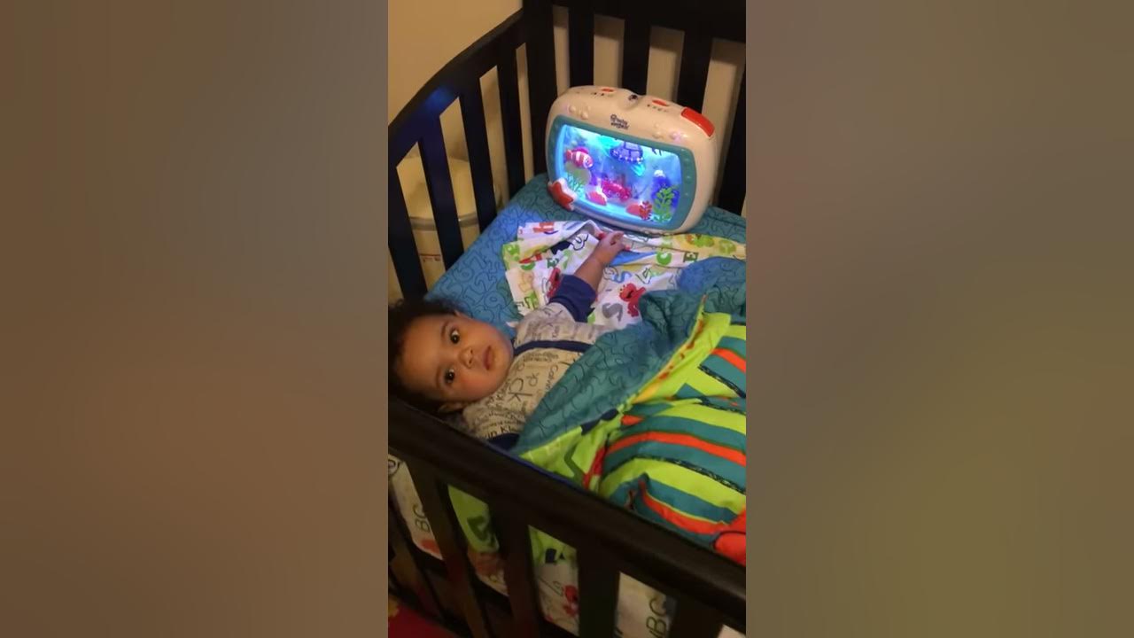 Baby Einstein fish tank review by Roman YouTube