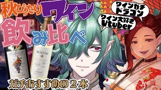 🍷【飲酒雑談】秋ぴったりのワイン！ガチおすすめ2本飲み比べ会 with 愛羅【ワイン飲み比べ会】#ワイン #wine #foodshow #deepvoice