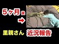 里親さんより近況報告！タラちゃんコウちゃん