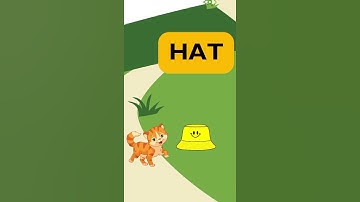 Check out this Fun interactive 3 letter words reading lesson for kids. #montessoriteaching #kids