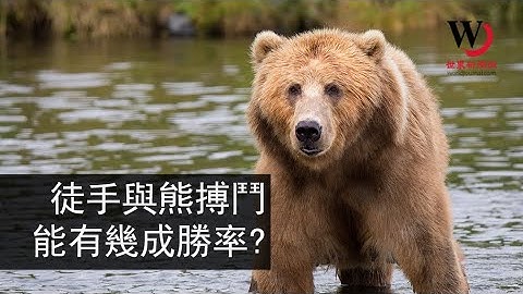 快看世界／為護愛犬 64歲婦人赤手空拳對抗大黑熊 - 天天要聞