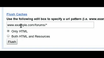 Flush Cache feature on PageSpeed Service