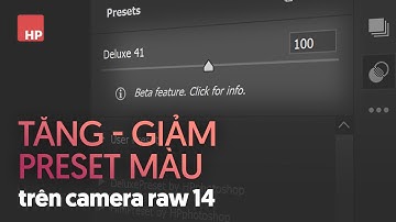 Tính năng tăng giảm Preset trên camera raw 14 | nâng cấp preset & profile bản 11 21