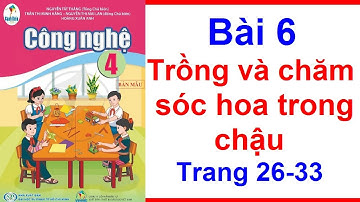 Công Nghệ Lớp 4 Bài 6 | Trồng và Chăm Sóc Hoa Trong Chậu | Trang 26 – 33 | Cánh Diều