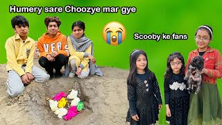Humery sare Choozye mar gye 😭 | Scooby Doggy ke fans MoonVines