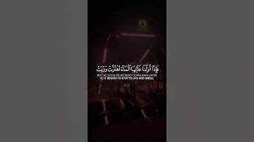 ومن آياته♥️✨| ماهر المعيقلي | سورة فصلت