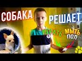 24 Часа СОБАЧКА УПРАВЛЯЕТ Моим Днем! ПИЛОТ решает Какой Будет Мой День?