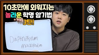 조경기사, 조경산업기사 학명을 암기시켜드립니다! (3탄…