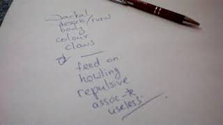 IELTS Speaking part 2: Describe a wild animal