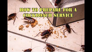How to prepare your home for a professional Cockroach service