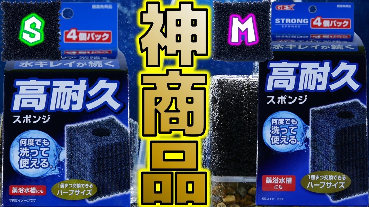 67 以上節約 ｇｅｘ ロカボーイ ｓ 金魚元気交換ろ過材 ３個パック Shipsctc Org