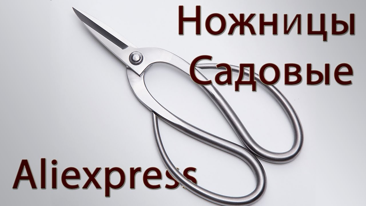Садовые ножницы (Обзор моих инструментов)/ Scissors for cutting Bonsai