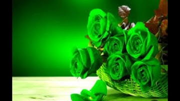 سوره الكهف اللهم اجعل القرآن الكريم ربيع قلوبنا ونور صدورنا وجلاء أحزاننا