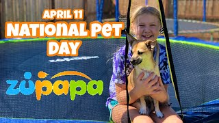 when she Celebrates National Pet Day on a 15ft Trampoline from Zupapa