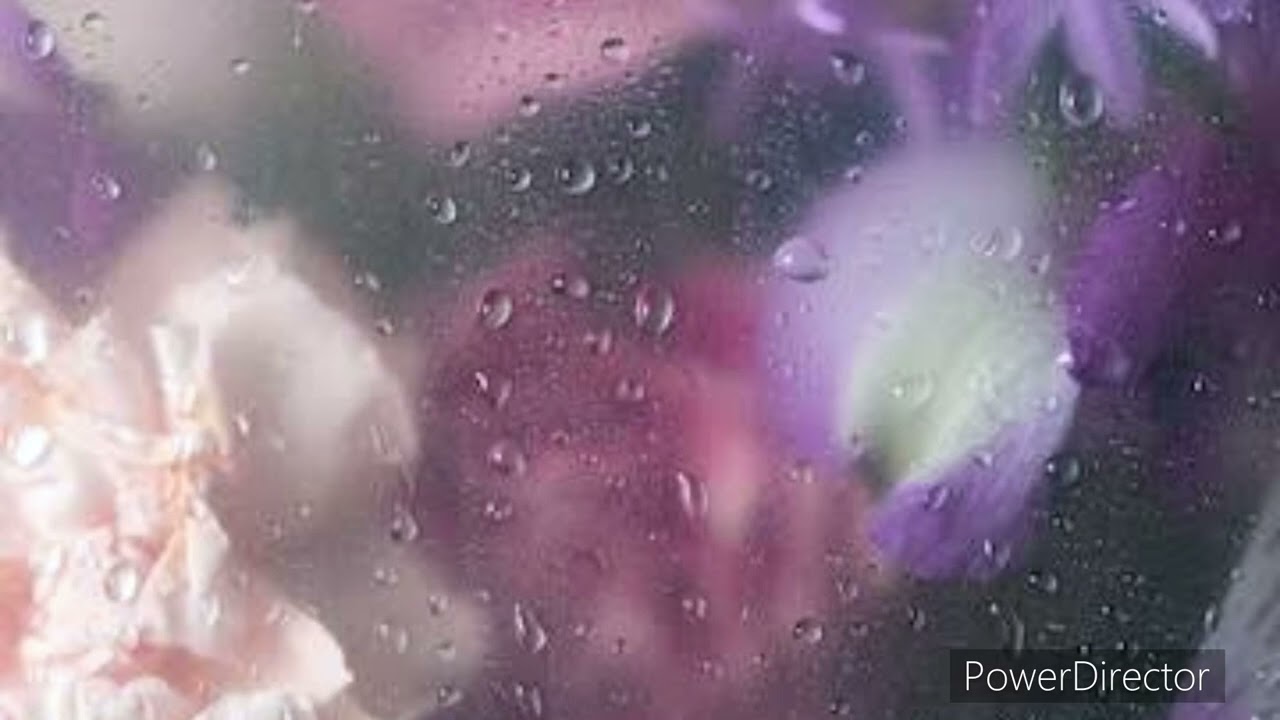 Study Music Background Taylor Swift - Enchanted (Instrumental)