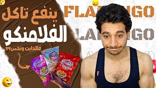 كلت فلامنكو فالدايت بتاعي لمده اسبوع.. ودا الي حصل