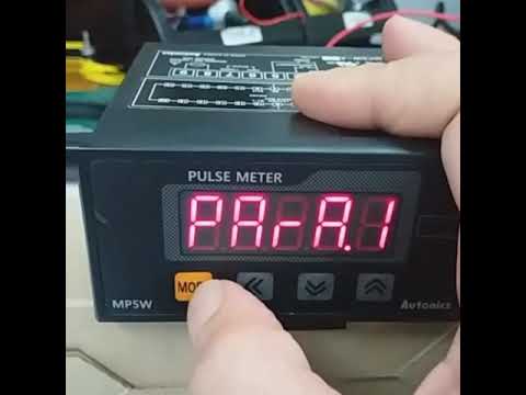 AUTONICS MP5W-4N auto zero 1 second
