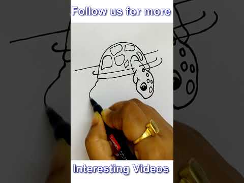 How To Draw Tortoise And Fish Shorts Kidsdrawing Easyartbypg Drawing