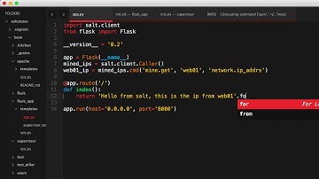 Learning SaltStack - Salt mine with python