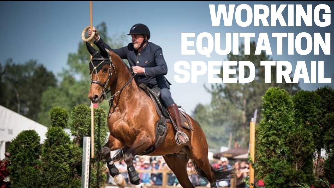Pferd International 2017 Working Equitation