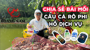 CÂU CÁ RÔ PHI HỒ DỊCH VỤ - Chia Sẻ Bài Mồi và Cách Làm Mồi Vuốt Từ Bột Tơ Nhện