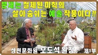 왕호TV지구촌 고수를 찾아서~ 분재, 성천문화원 오도석 원장 제1부