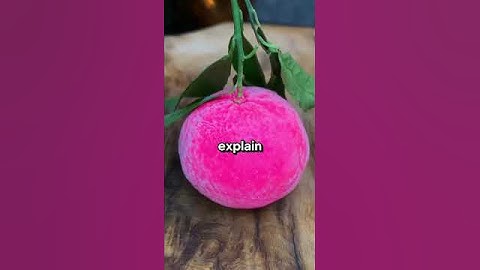 What is the dumbest question a customer has ever asked you?#stories #redditis #reddit #story