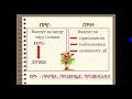 Українська мова. Правопис префіксів пре- , при-,  прі-.  5 клас