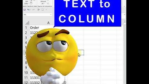 Text to Column in Excel