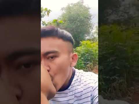 Guajuliant! diKebun singkong || Gay Indo