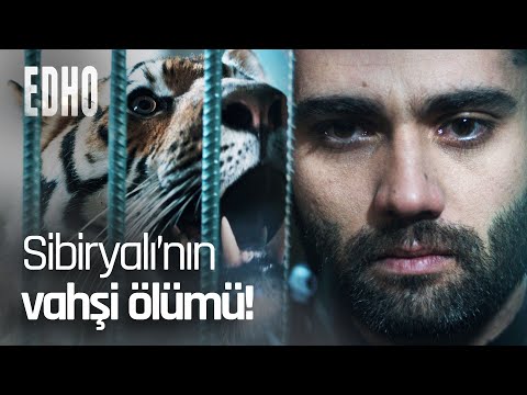 Sibiryalı'nın cezası kaplana yem olmak! - EDHO Efsane Sahneler