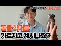 부모님이 해주셔야 할 크레를 키울 때 주의사항. 그리고 2가지는 꼭 아이들과 함께 해주세요. 크레스티드게코 사육방법, 주의사항