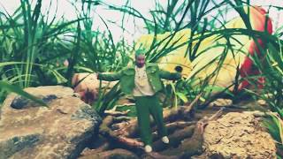 J. Balvin, Sky - Verde (Estados de WhatsApp)