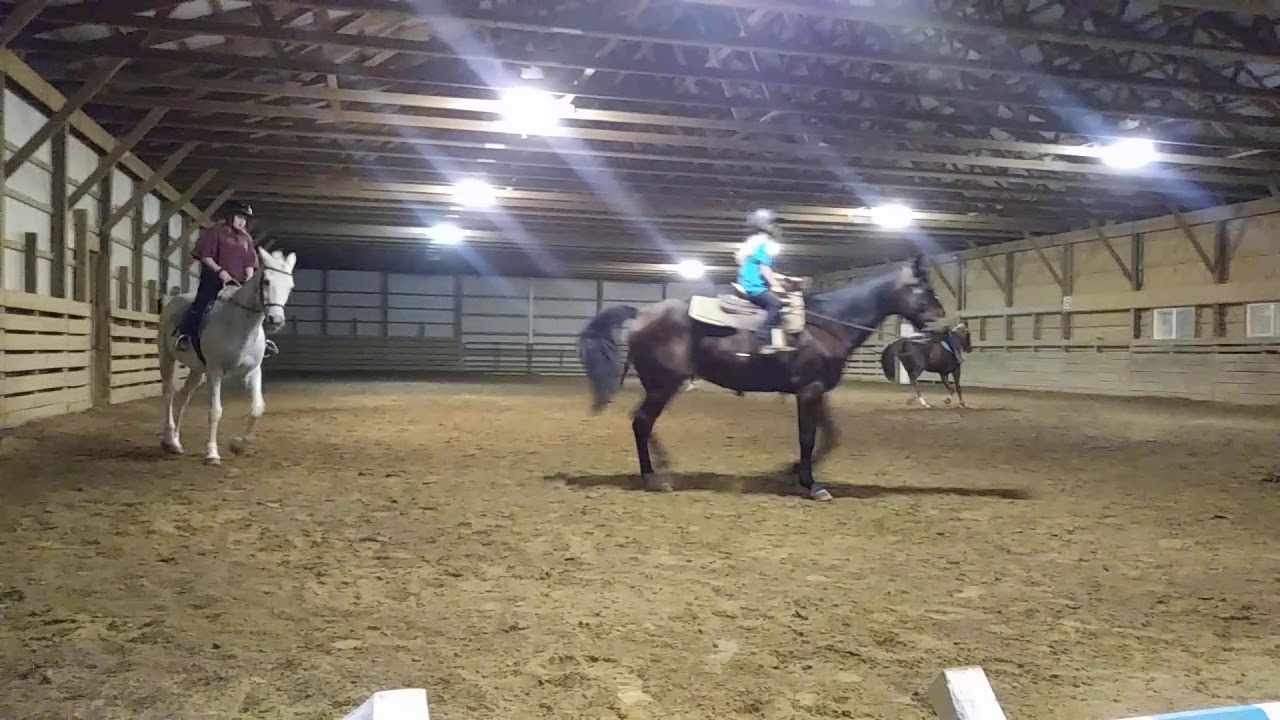 Horse Drill Team Video - YouTube