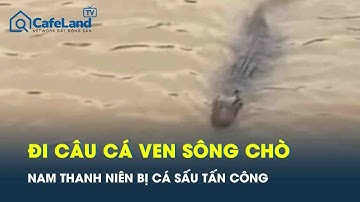 Khánh Hòa: Đi câu cá ven sông Chò, nam thanh niên bị cá sấu tấn công đến thương tích