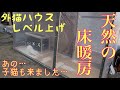 外猫ハウスに天然床暖房を設置したら凄いことになりました。