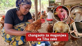 Magonjwa 5 Hatari ya Kuku na Tiba Zake | Jinsi ya Kuwatibu na Kuwakinga Kuku Wako
