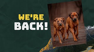 Oh The Places You'll Go (With Ridgebacks) by Marking Our Territory 10,425 views 3 months ago 7 minutes, 36 seconds