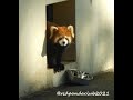 2023/3/20【大島公園動物園】レッサーパンダのツツジちゃん(♀)❶⇒Red Panda &quot;Tsutsuji&quot;-Oshima Park Zoo (In Mar of 2023)