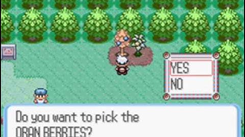 Pokemon ruby - route 102