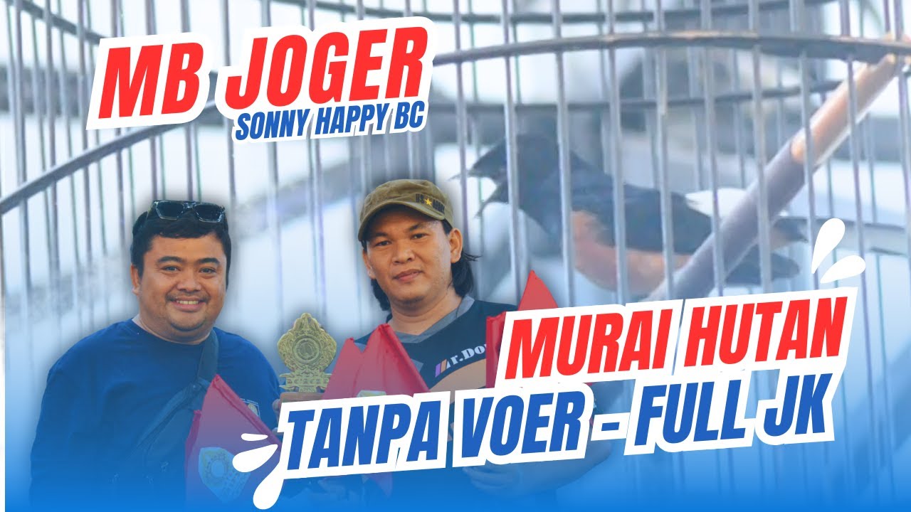 [MB JOGER] Murai Hutan Main Durasi MURAI JOGER settingan murai hutan tanpa voer MB HUTAN HoBi ID